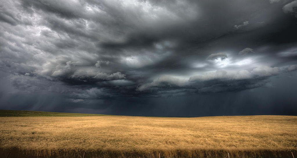 Photo of storm clouds over a field of wheat.