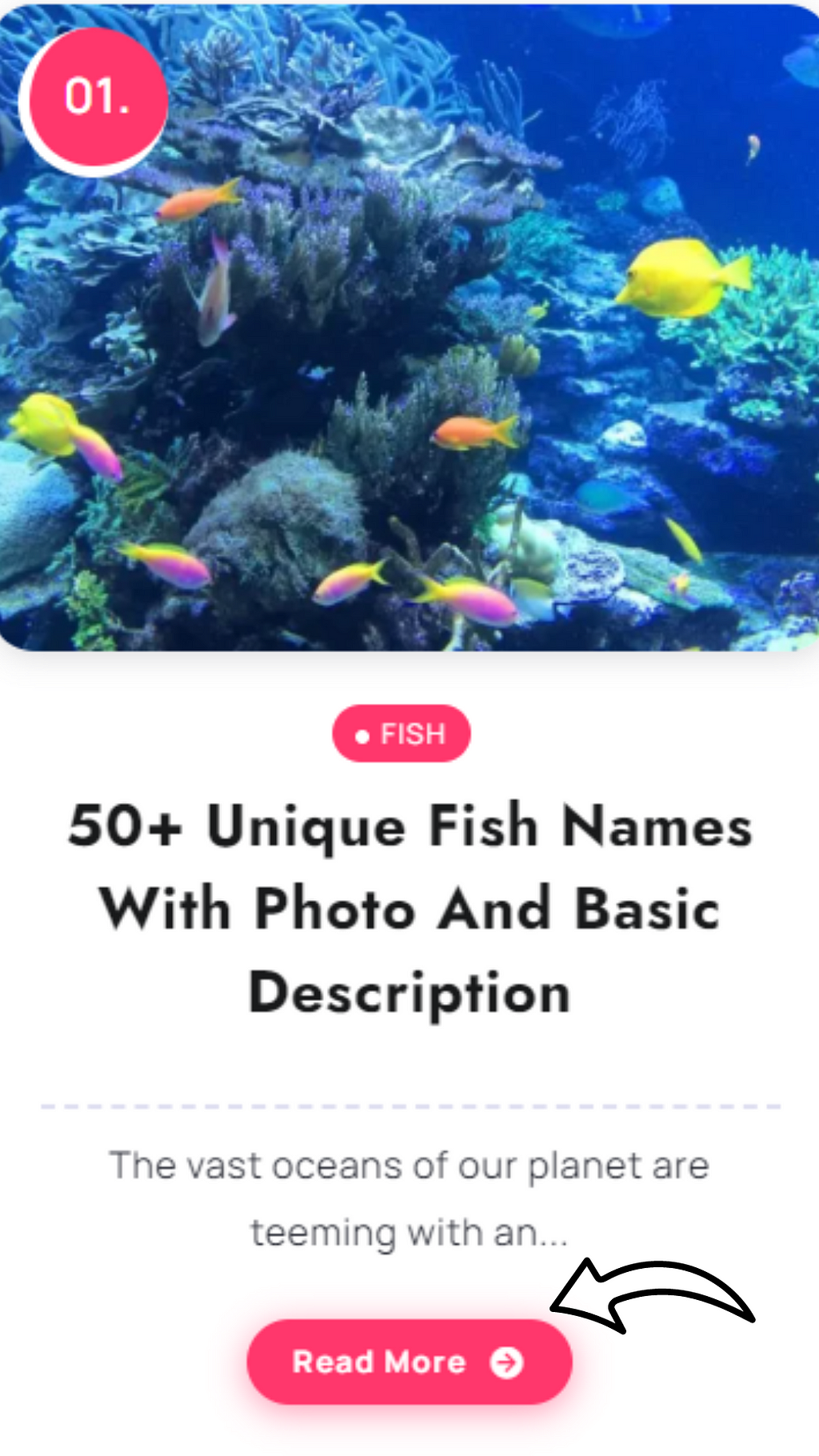 50+ Unique Fish Names With Photo And Basic Description