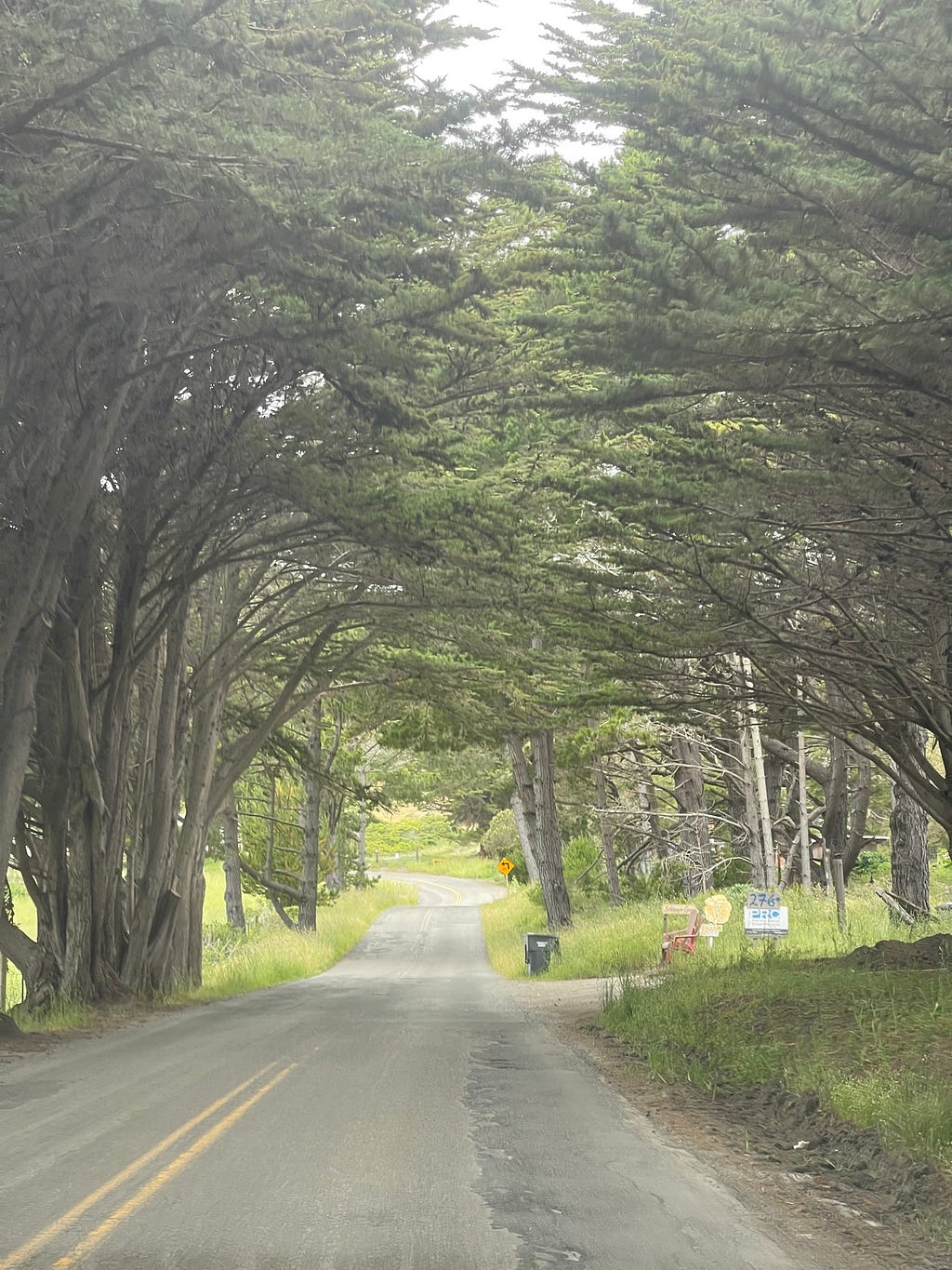 Entrance to Point Reyes