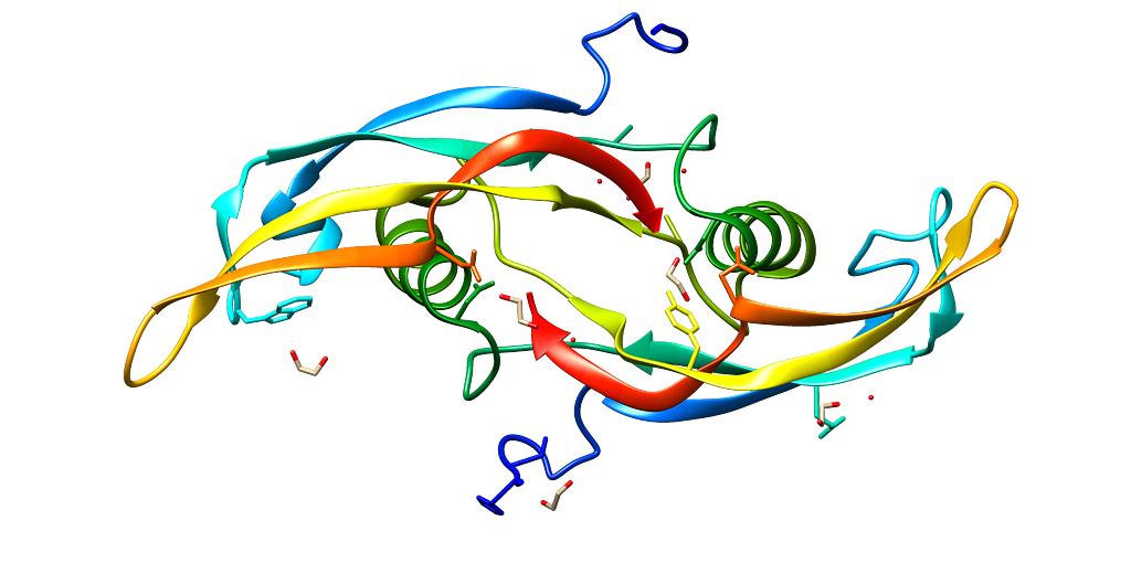 Visualization of crystallized GDF15 protein from PDB identifier 5VT2 on UCSF Chimera software