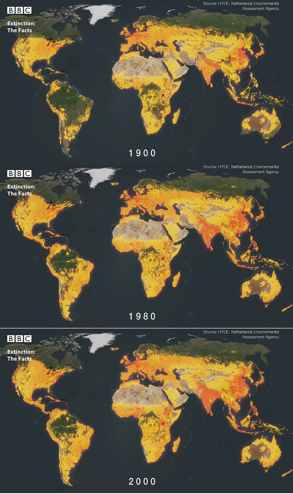 Land-use conversion evolution from 1900 to 2000. Yellow and orange, human usage. Source: HYDE, Netherlands Environmental Assesment Agency / BBC