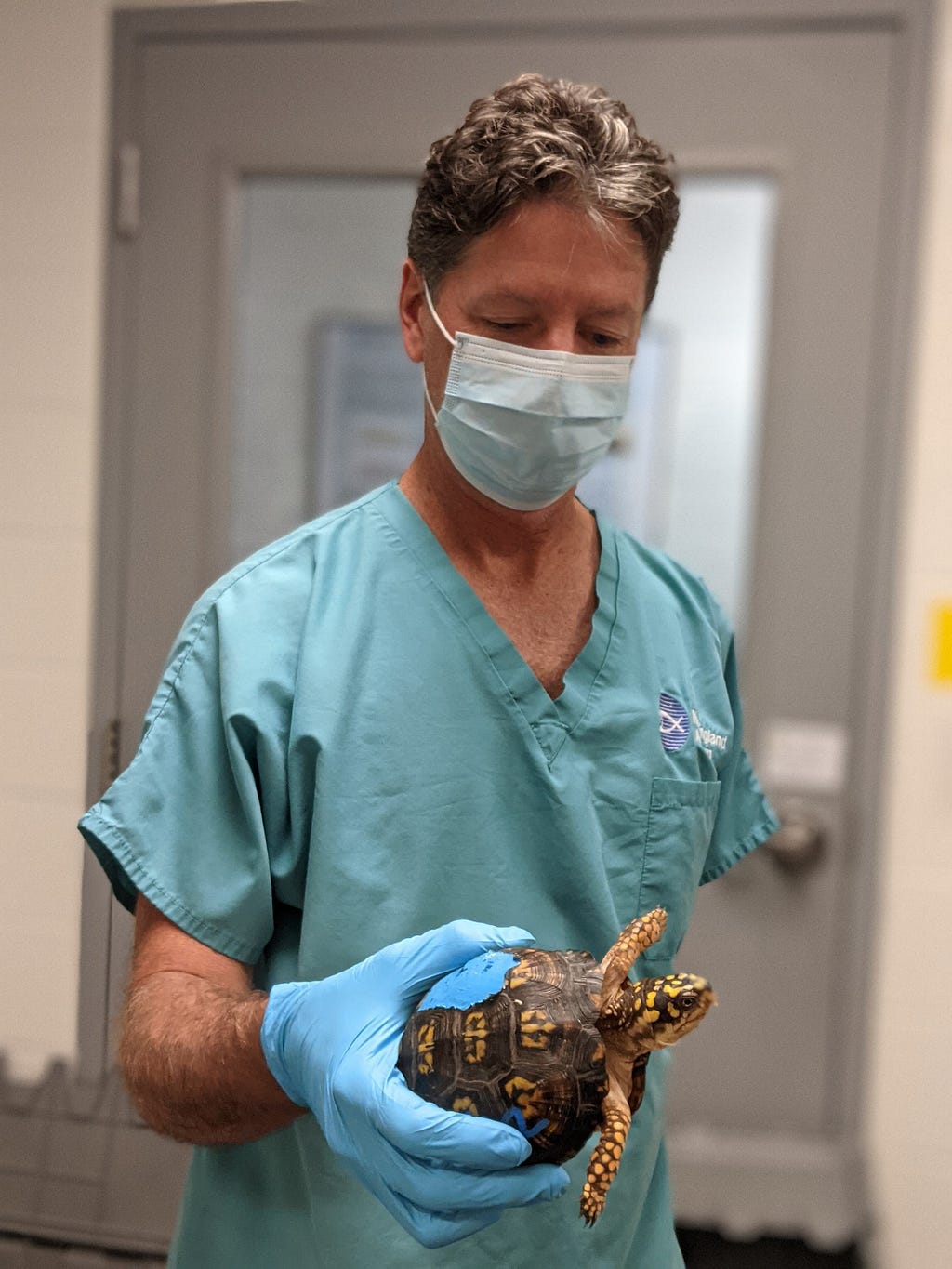 A man wearing scrubs and a mask holds a yellow and brown turtle