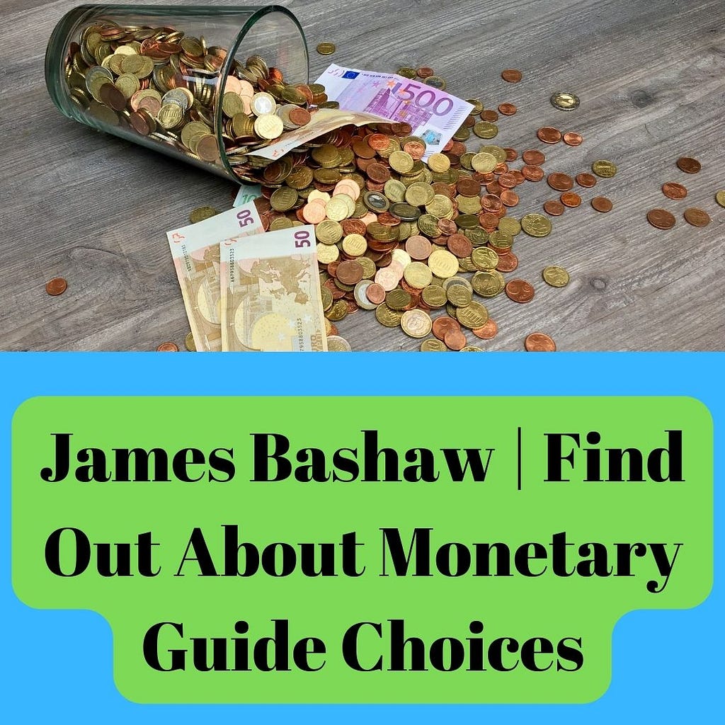 James Bashaw | Find Out About Monetary Guide Choices