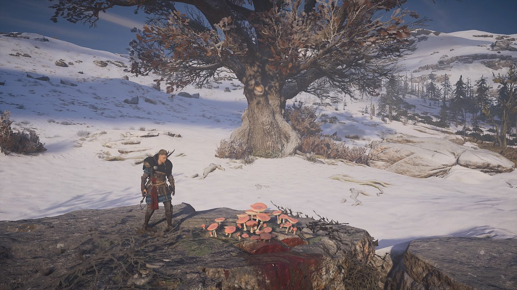 Eivor checks out some mushrooms in assassins creed valhalla