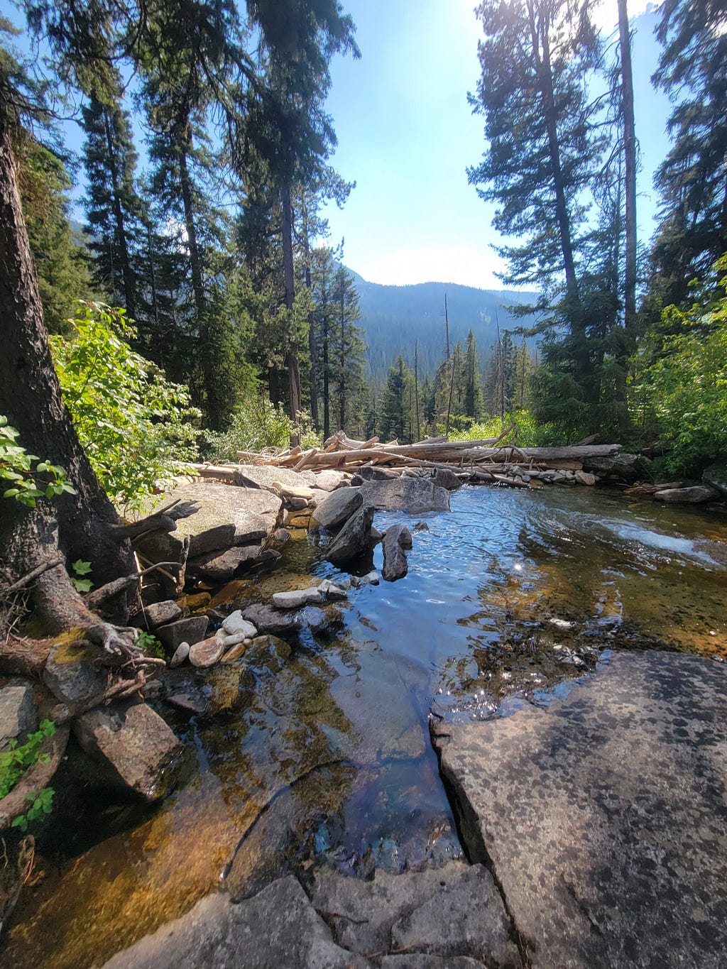 Small pond in the forest up on a mountain.