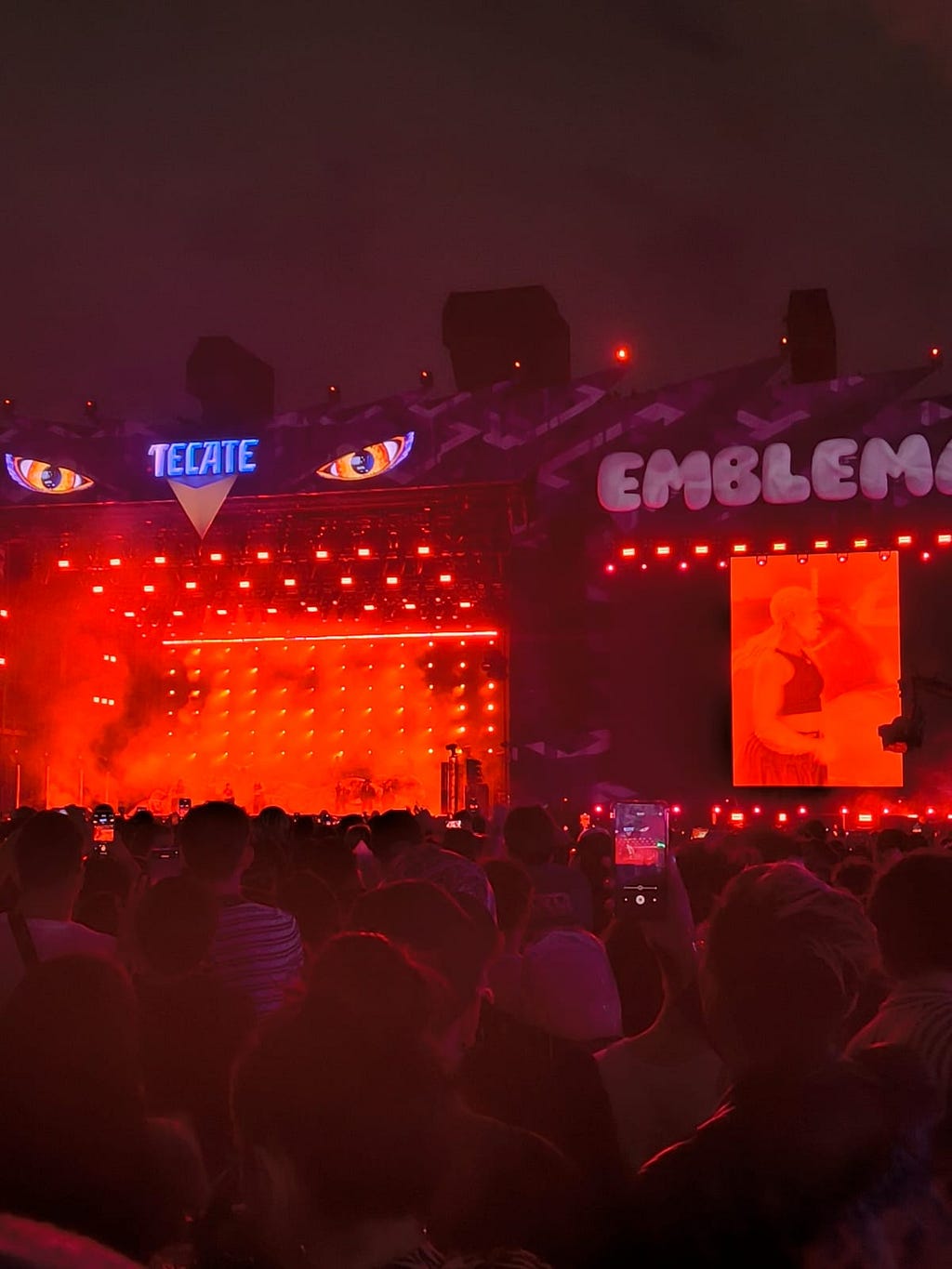 Photo taken during a performance at Tecate Emblema festival