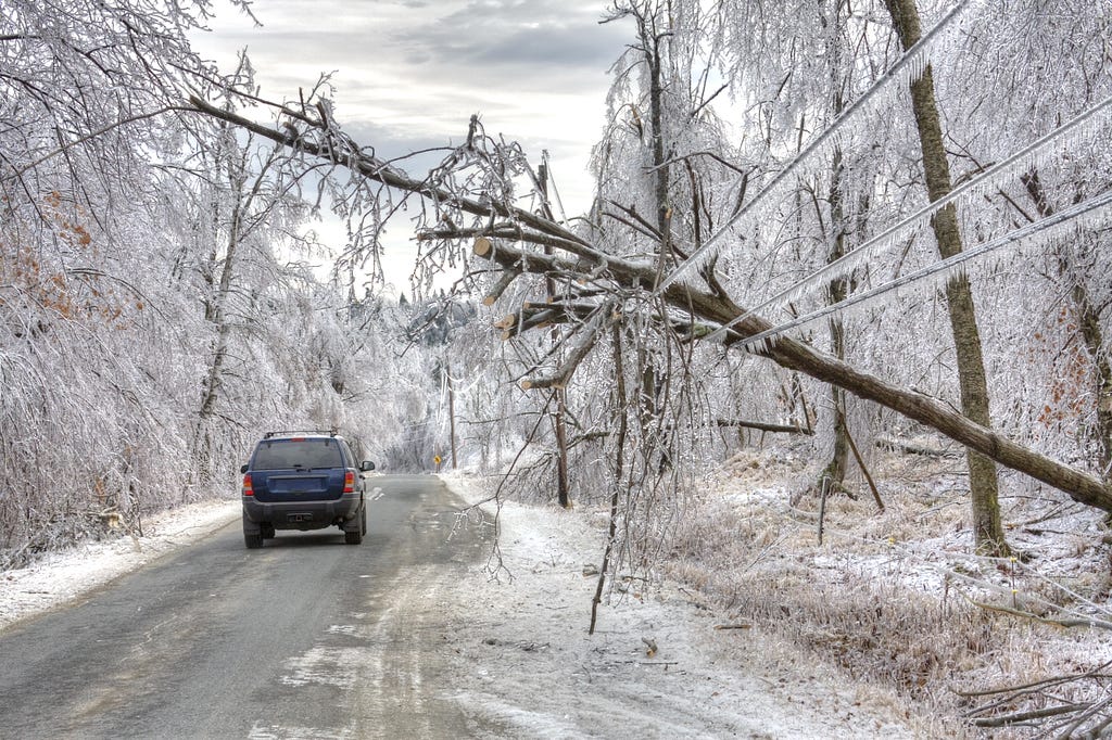 A car drives under dangerous trees weighed down by ice and powerlines after an icestorm. Photo by DenisTangneyJr/Getty Images