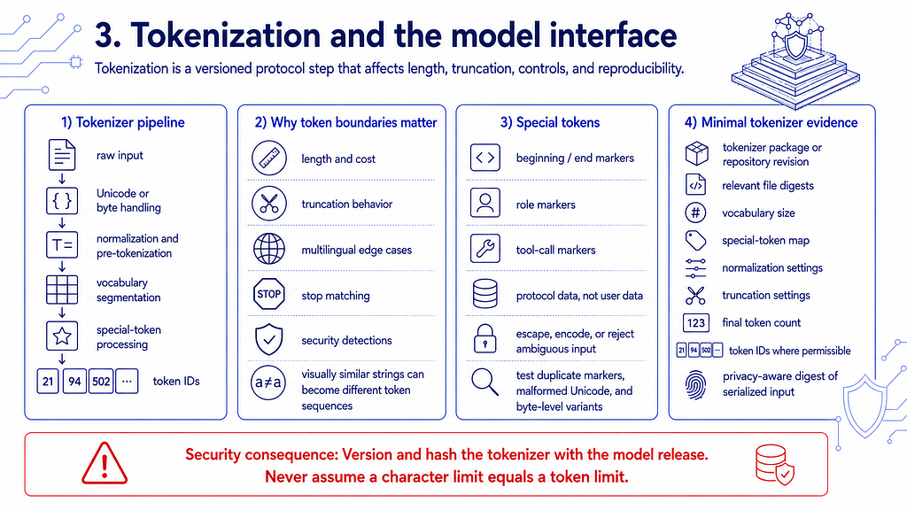 Tokenization and the model interface