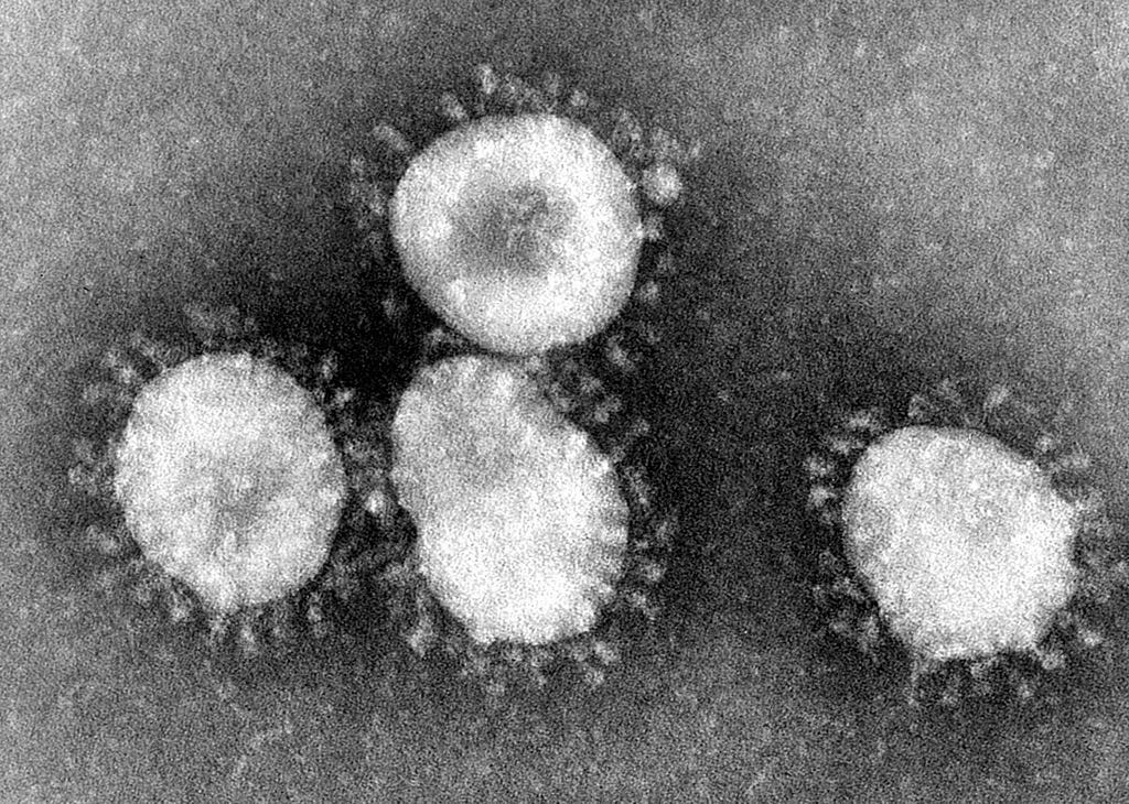 TEM image of the corona virus
