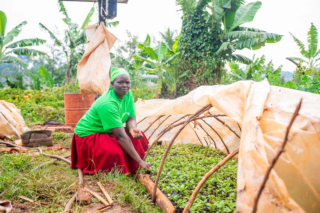 Rachael kneels down by a crop of seeds, protected by a tarp held up by rounded branches.