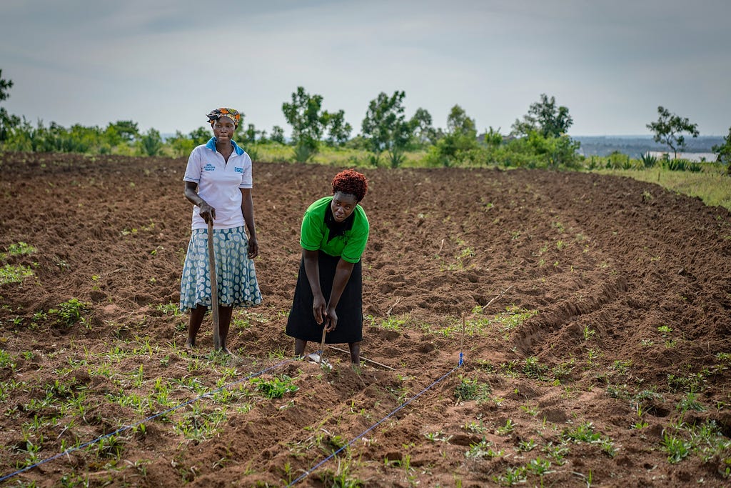 Two women working in a field.