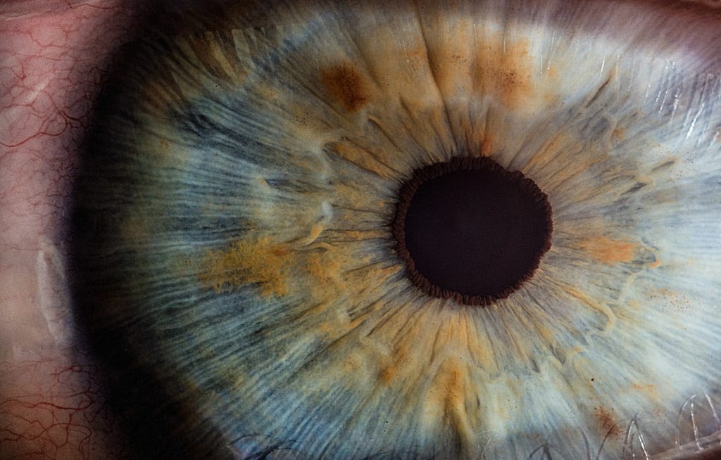 An close-up image of the human eye