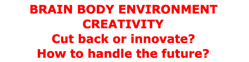 BRAIN BODY ENVIRONMENT CREATIVITY Cut back or innovate? How to handle the future?