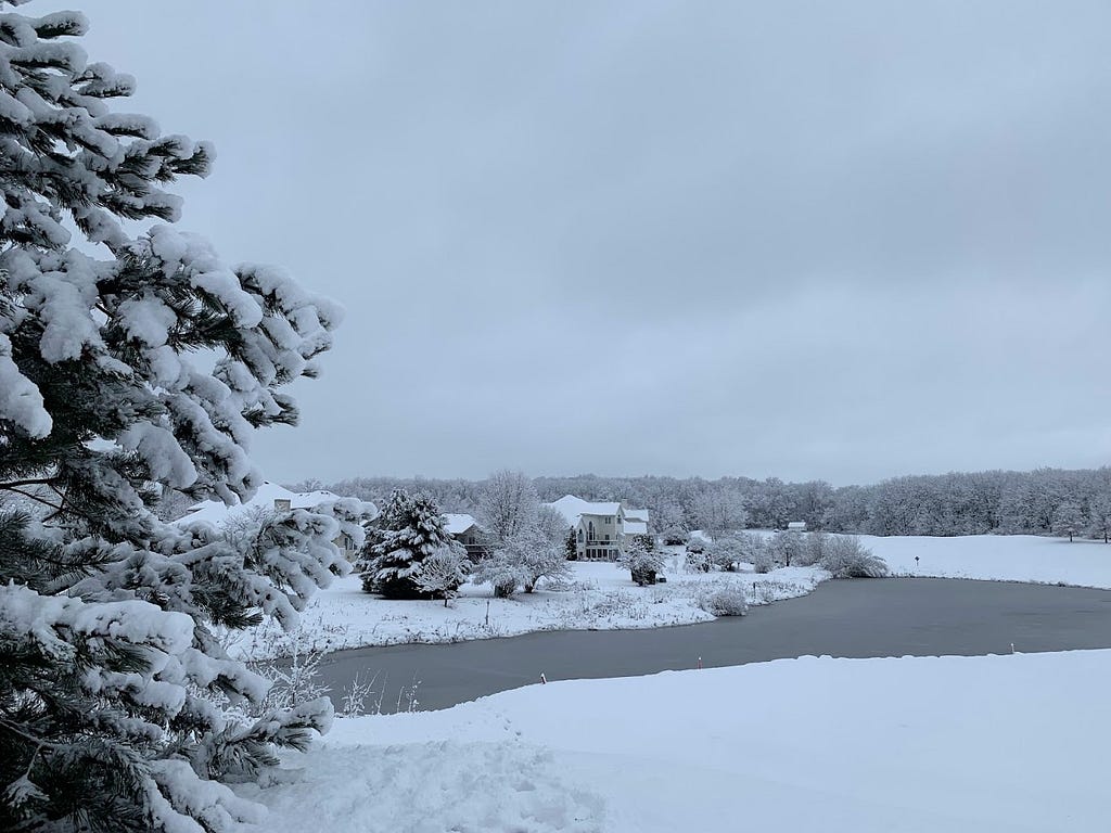 A frozen lake on a golf course