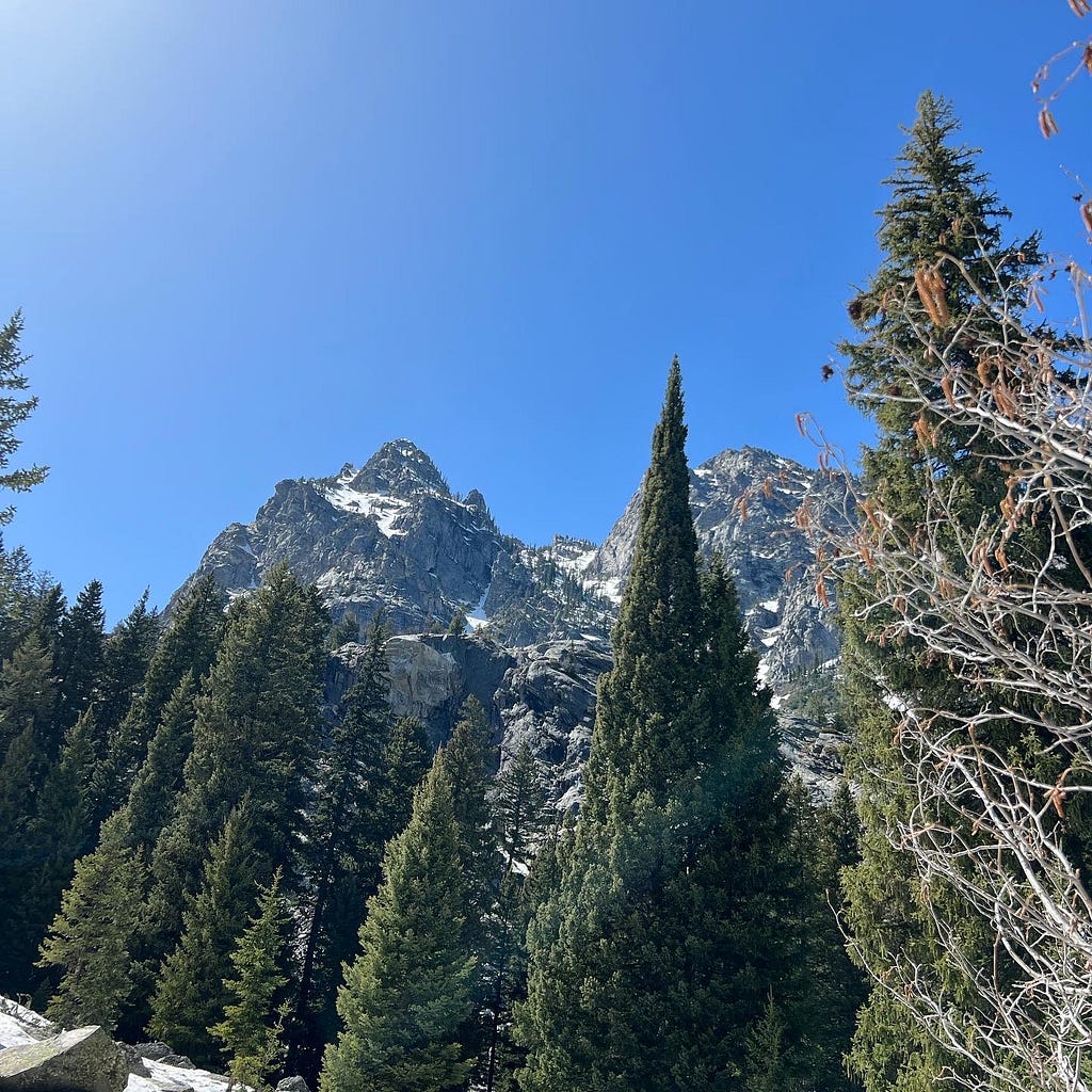 Section of Cascade Canyon Trail