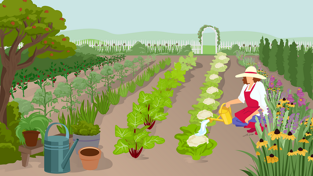 A woman watering plants in a large vegetable and flower garden
