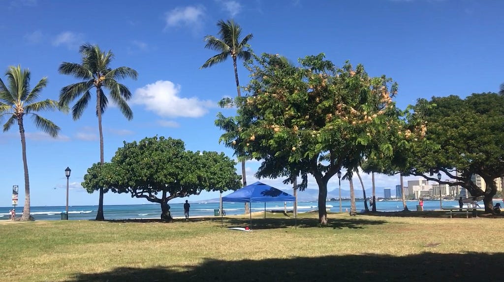 A gorgeous, sunny day in the park at Ala Moana Beach in Honolulu, Hawai’i.