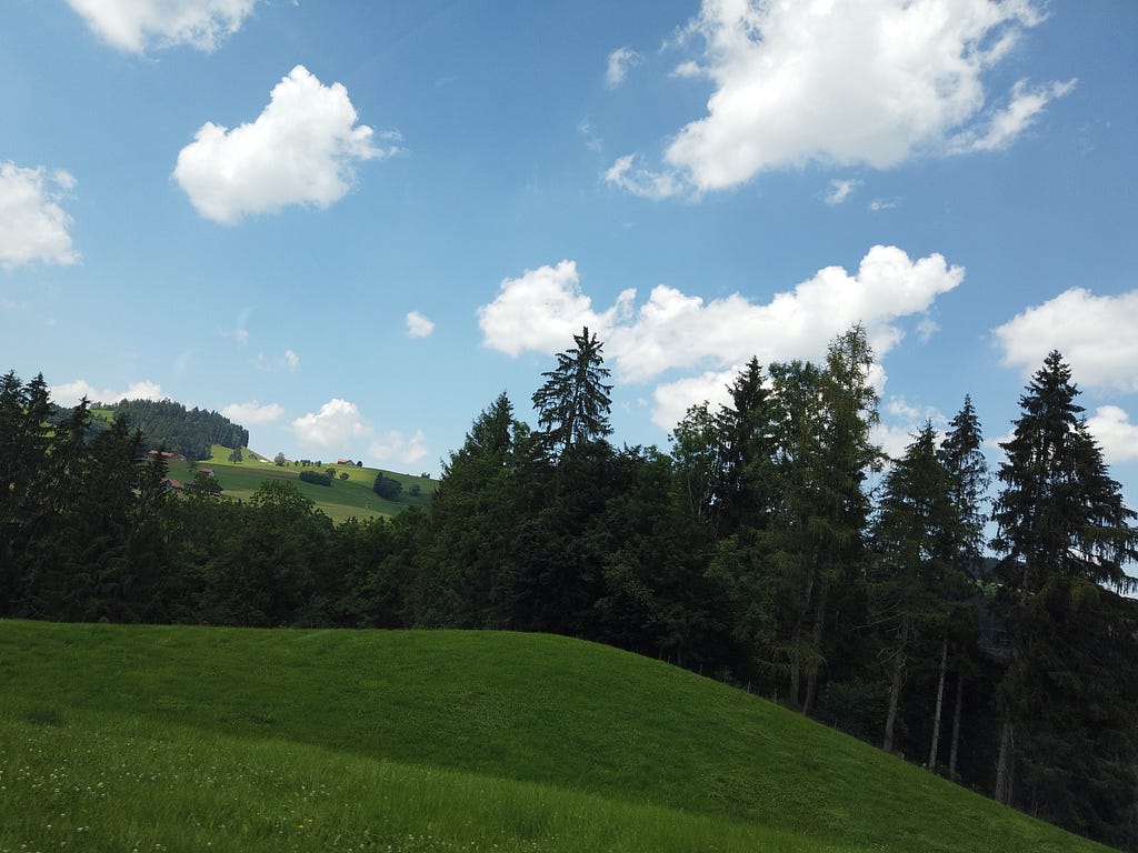 Zurich in Summer looks like a Windows Desktop Screensaver