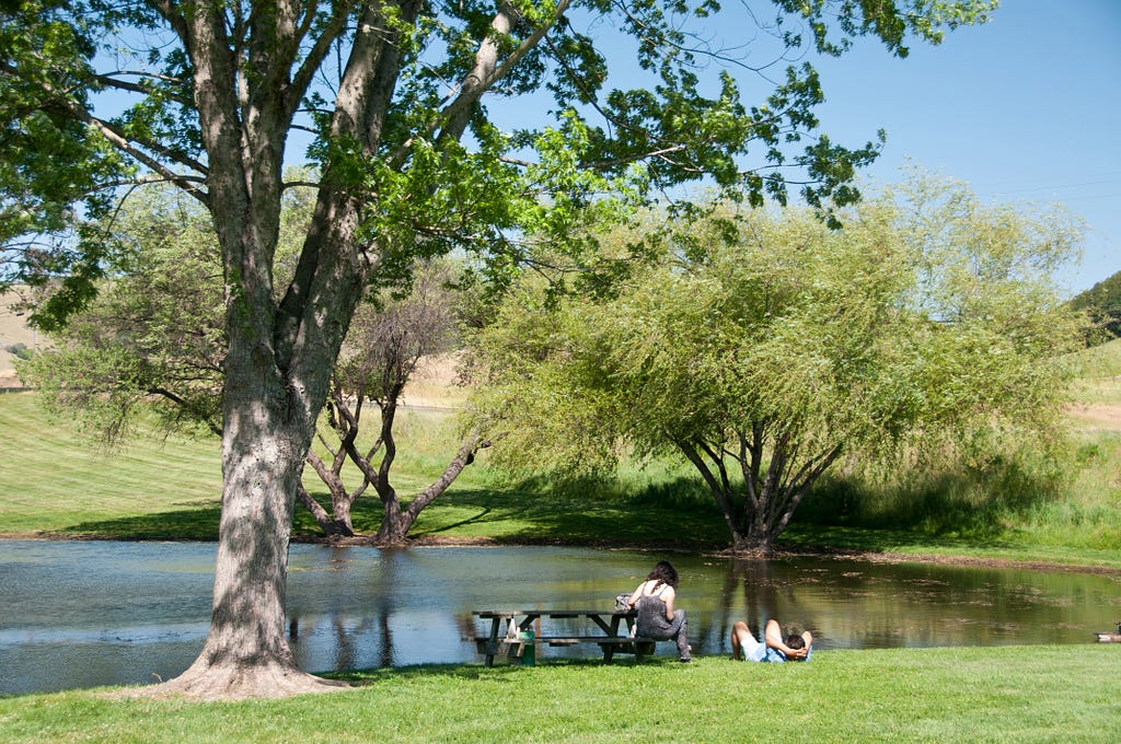 a couple relaxes and picnics by a pond