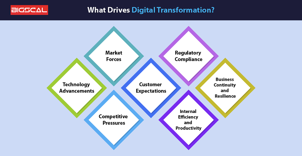 What Drives Digital Transformation?