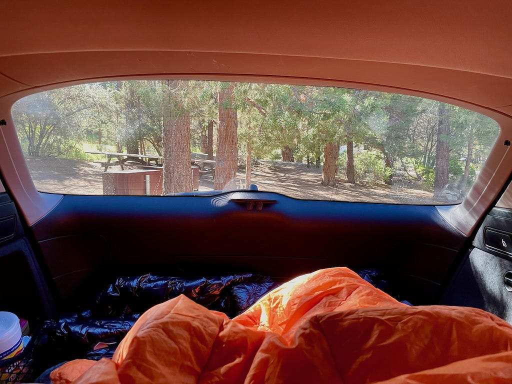 The view from the trunk of a car looking out, with sleeping bags in the foreground and a camping site amongst the trees in the background.