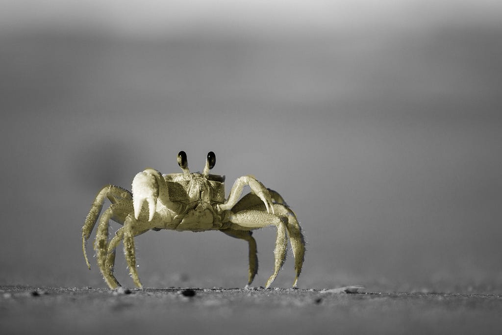 How to Use the Pinch to Zoom Gesture in React Native Apps LaptrinhX