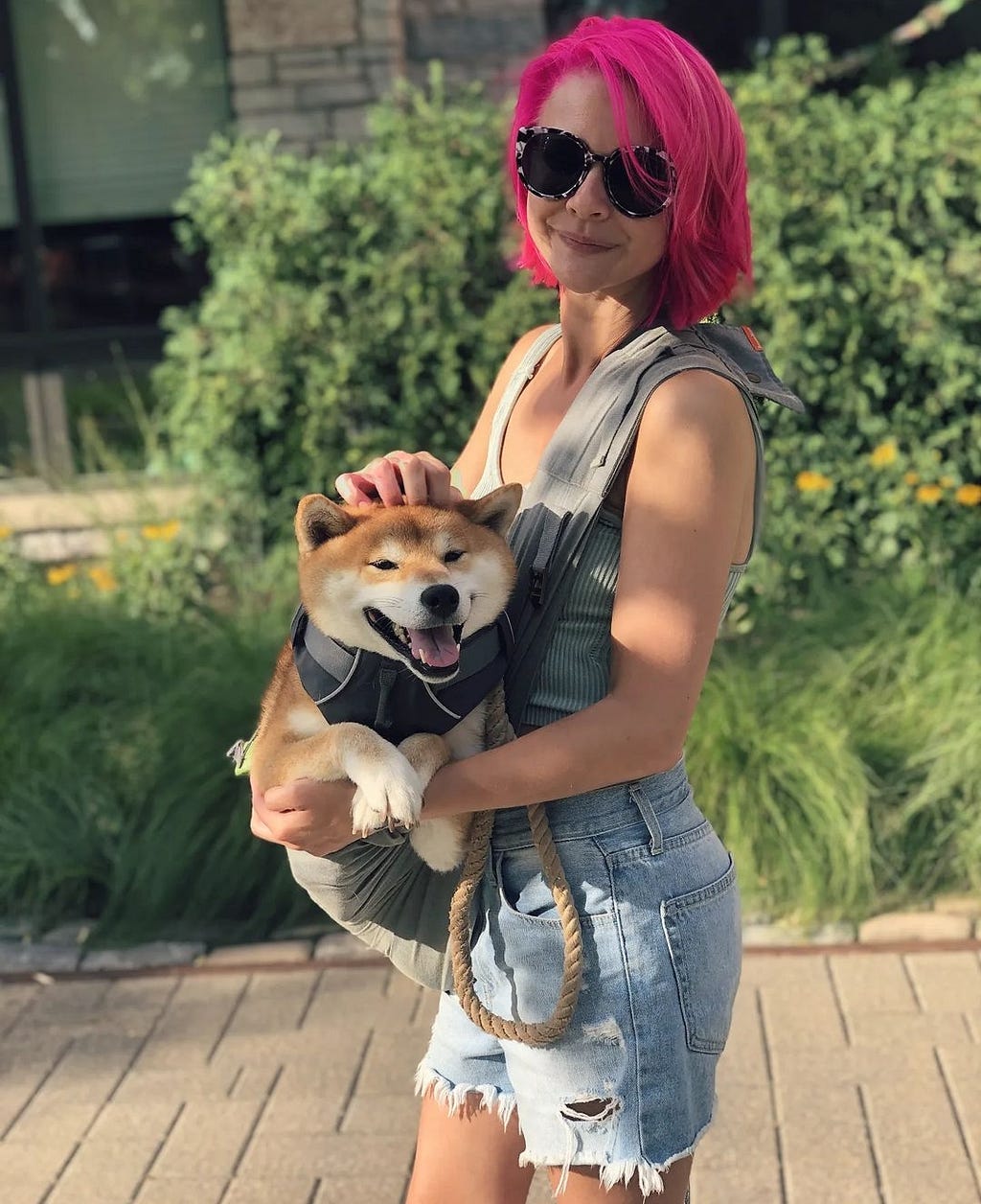 A red and cream Shiba Inu being held in a sling by a woman smiling at the camera with bright pink hair and dark sunglasses on.
