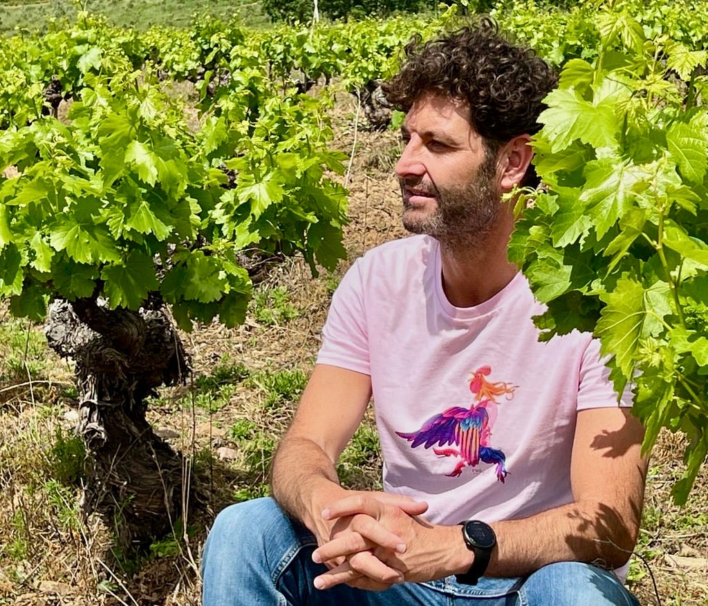 El sumiller y elaborador de vinos David Seijas, entre viñedos del Bierzo. / GALLINA DE PIEL WINES