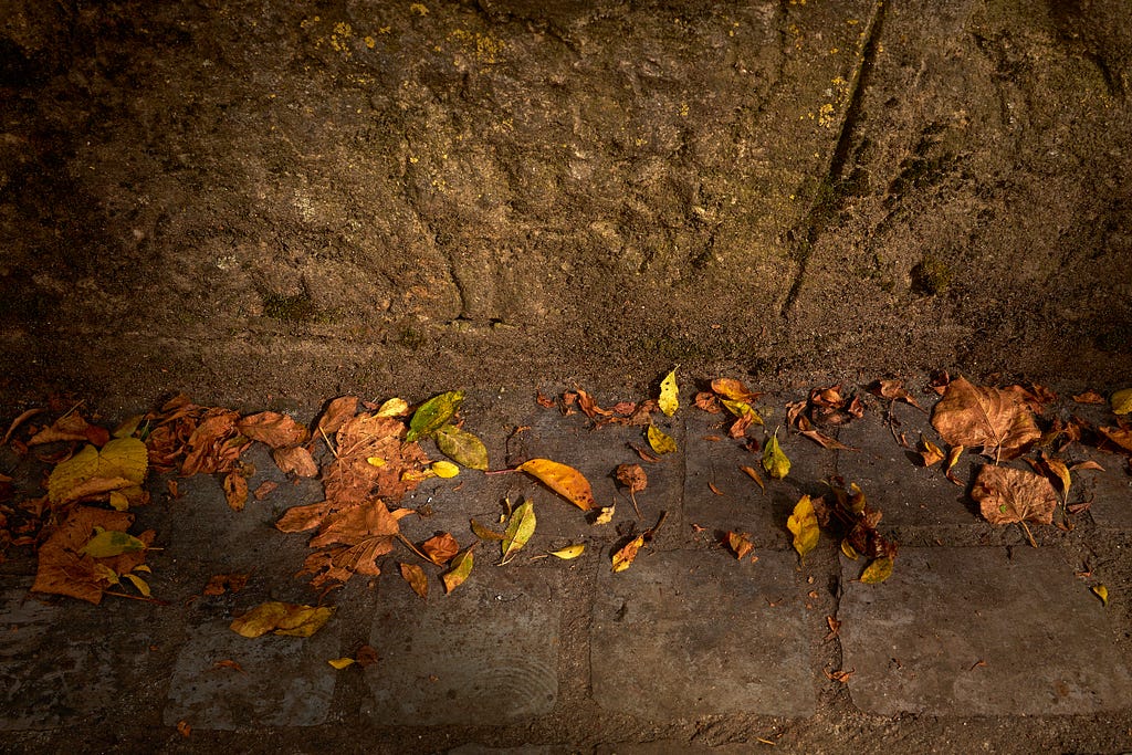 Fallen autumn leafs agains an ancient stone wall