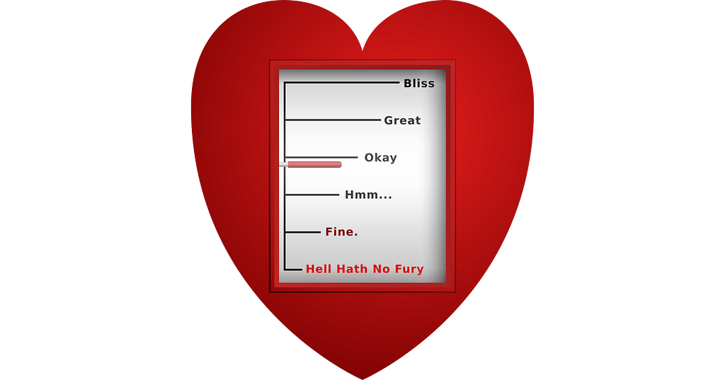 A red heart with a meter embedded that registers feelings. From top to bottom it has six levels. From best to worst feeling the six levels are, bliss, great, okay, hmm, fine, and hell hath no fury. The latter is from the saying “hell hath no fury like a woman scorned”.