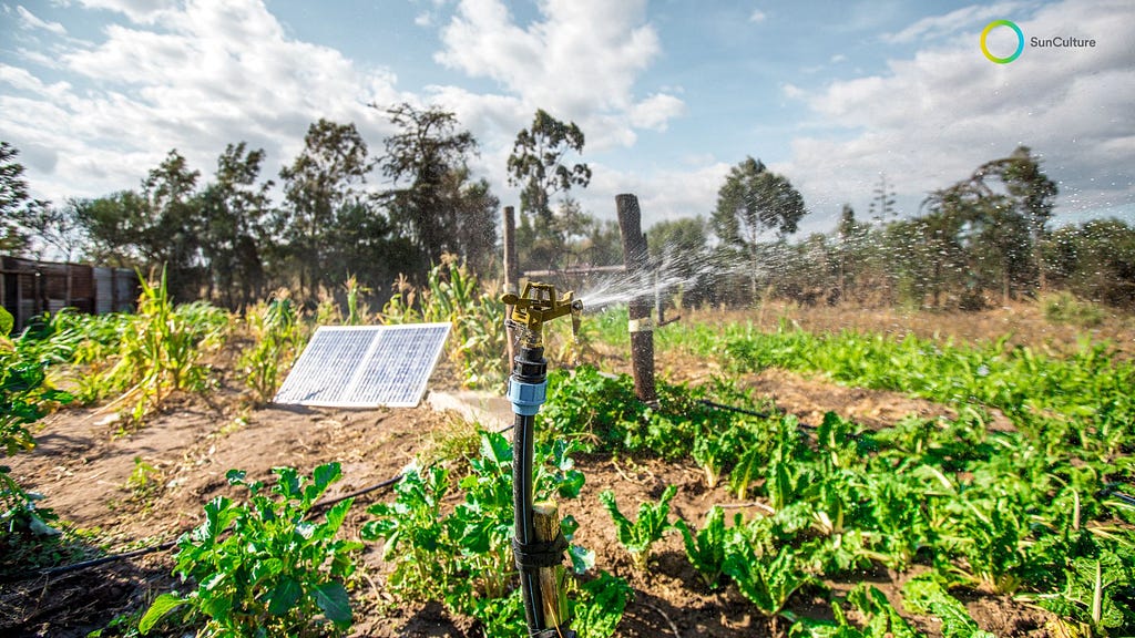 A sprinkler head sprays water over crops in the foreground. In the background is a solar panel and trees.