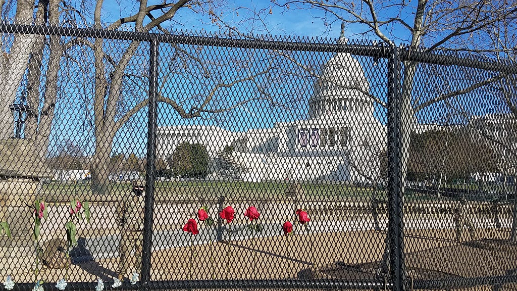 Photo of US Capitol, flag at half staff with National Guard standing watch behind newly-erected fence adorned with red roses