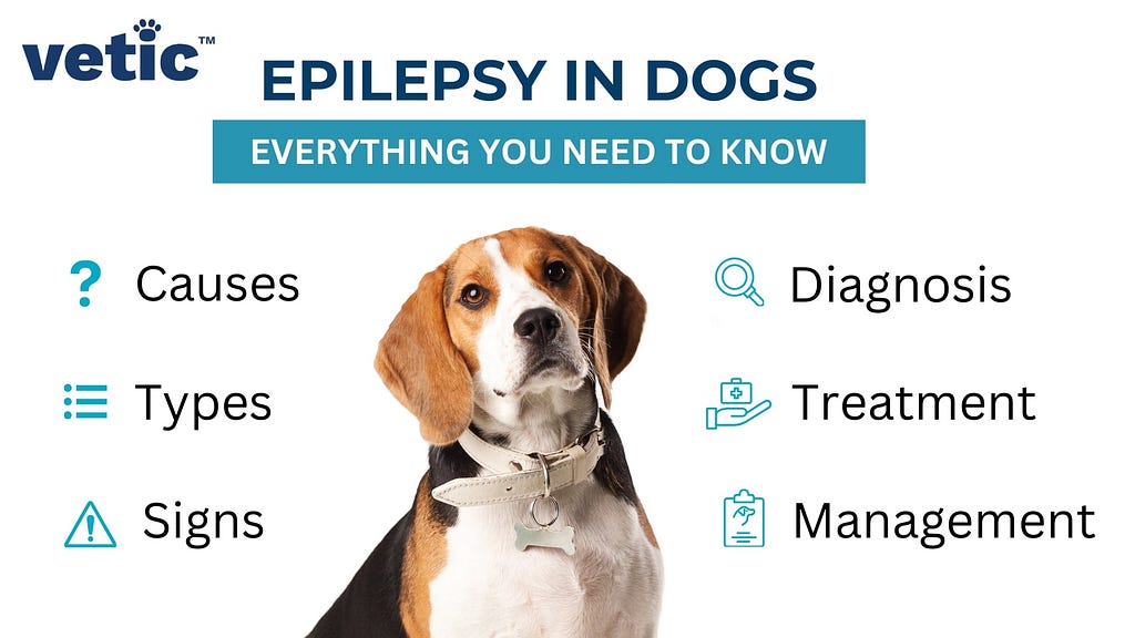 Epilepsy in Dogs — Everything you need to know, such as causes, diagnosis, types, treatment, signs and management