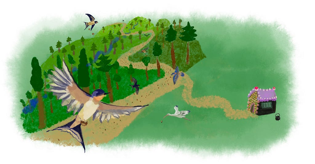 A whimsical illustration of a lush green forest with a winding dirt path leading to a small candy-covered cottage. In the foreground, several swallows and a white ibis fly overhead, some carrying seeds in their beaks. Tall evergreens and rolling hills fill the background, while a black cauldron sits beside the purple-roofed gingerbread-style house on the right.