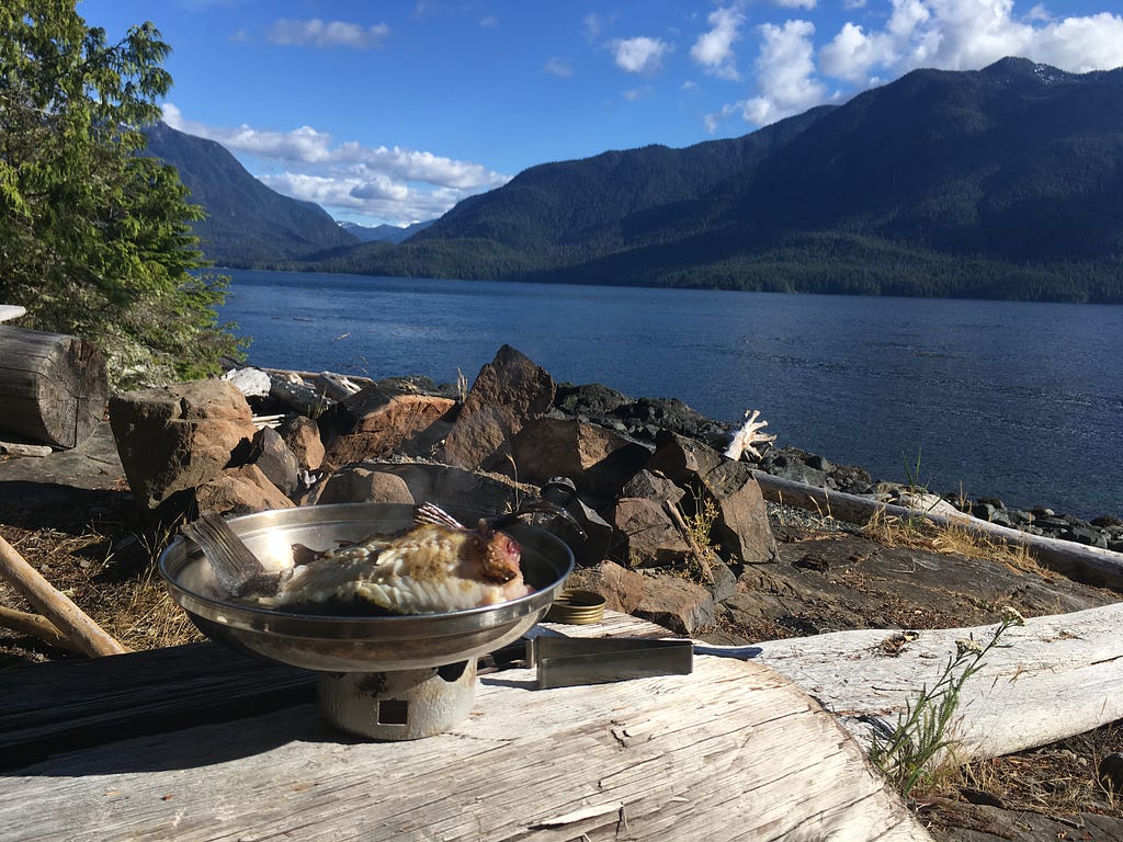 A campstove and frying pan containing a cooked fish in the foreground, with a large body of ocean and mountain range behind.