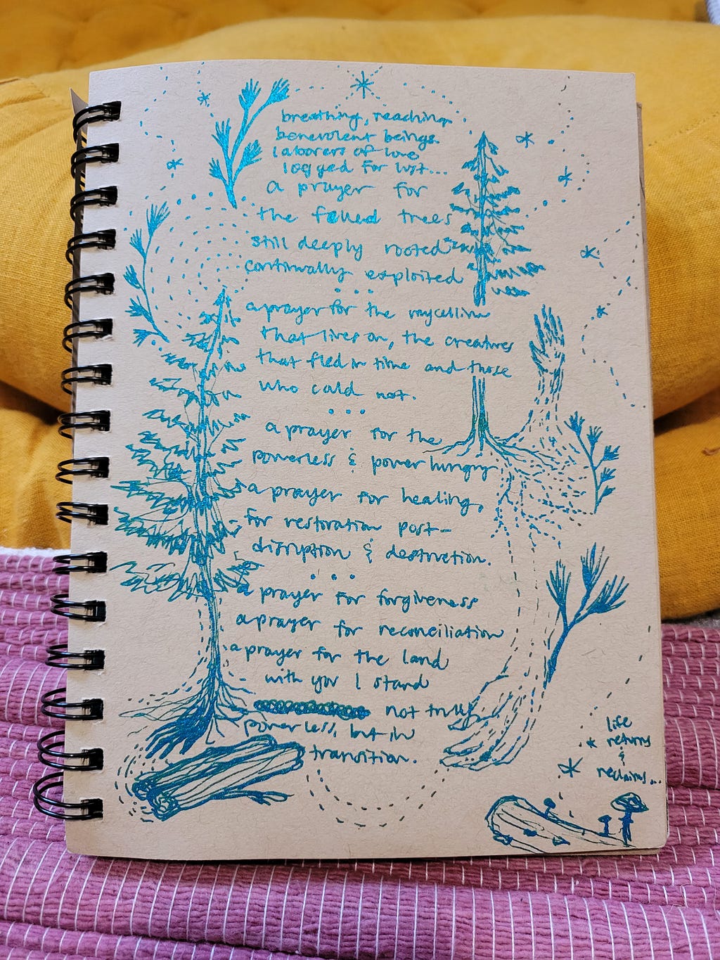 a teal ink drawing on brown kraft paper of trees and roots and logs as hands and branches reaching out for protection, surrounding the prayer written below;