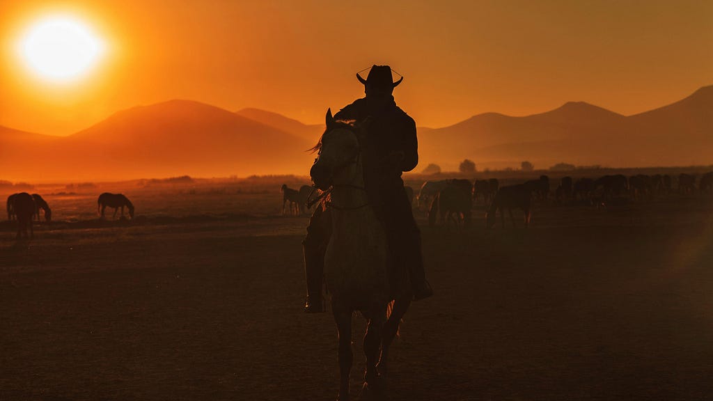 A photo of the silhouette of a man on horseback during
