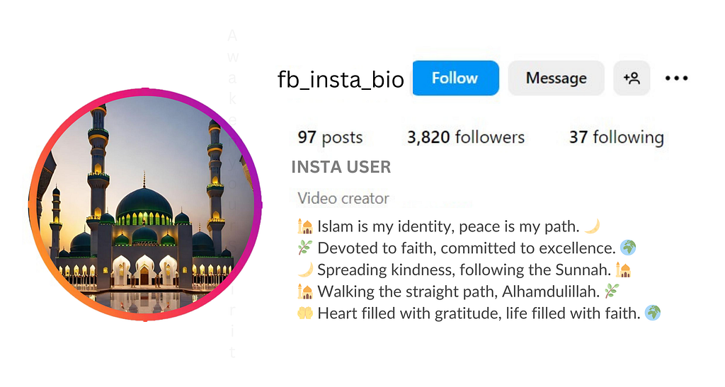 Professional Islamic Bio For Instagram With Emojiis visible in this image