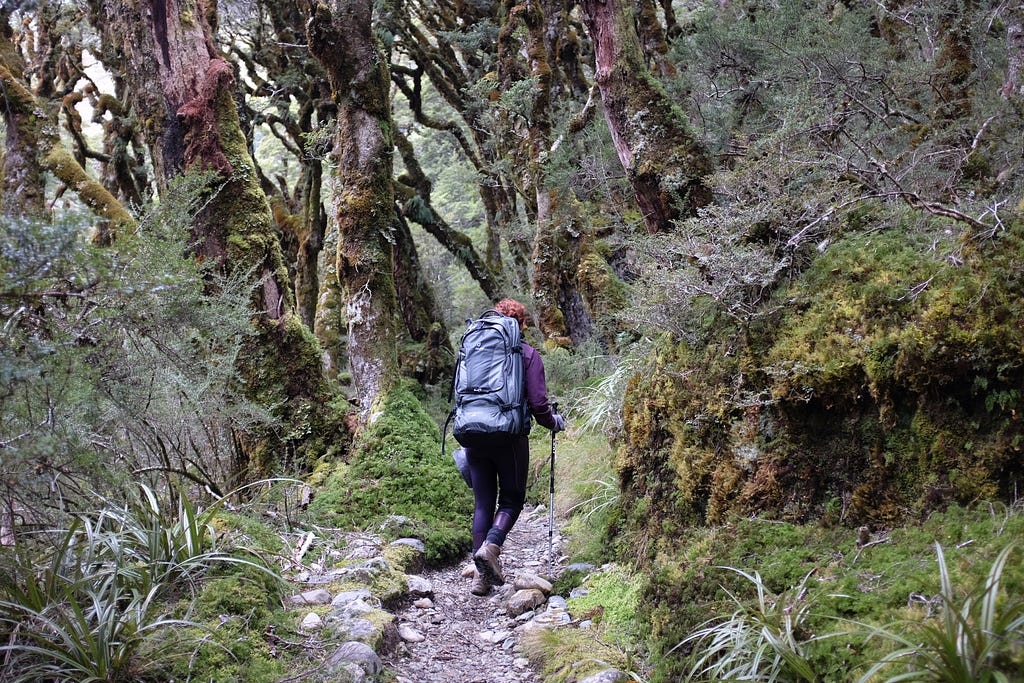 Image of me heading off into the woods of New Zealand on a three day hike