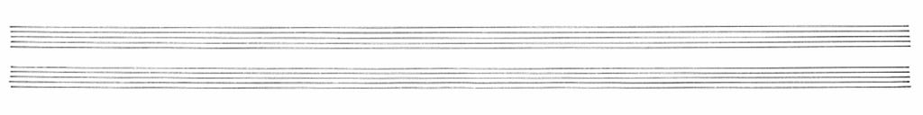 The staves that feature on the footer throughout most of the score.