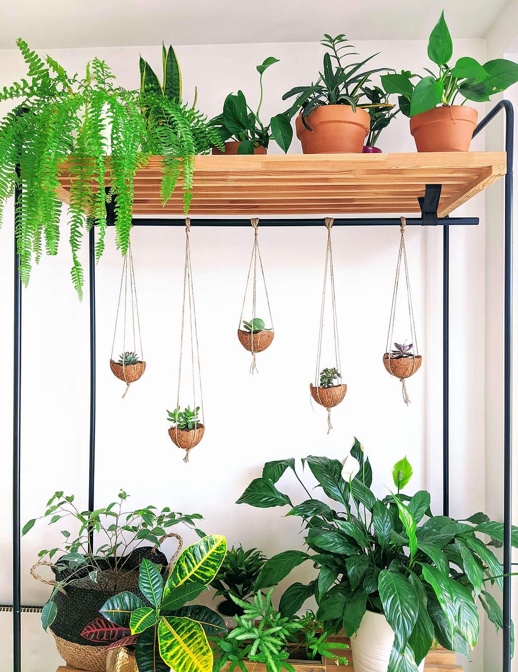 standing wooden shelf with indoor plants and hanging coconut planters