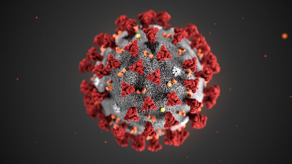 An image of the 2019 Novel Coronavirus or COVID-19