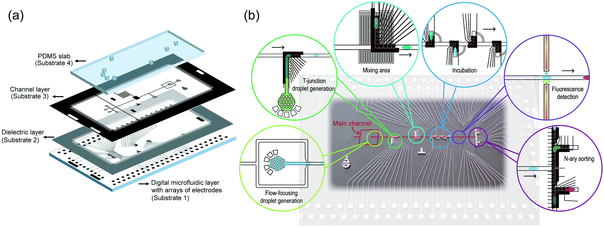 A Droplet-based Digital Microfluidic system.