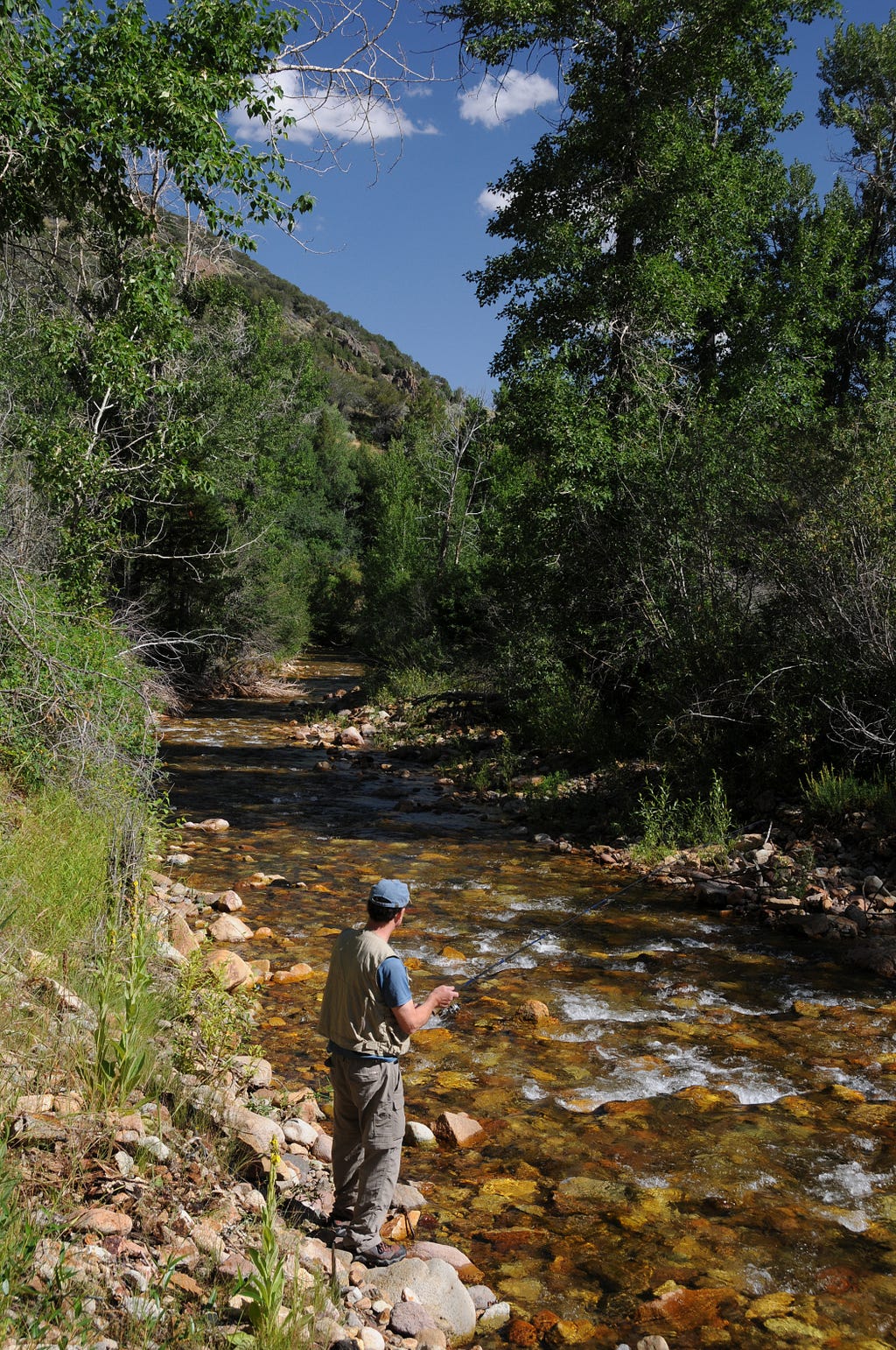 The writer’s husband fished for trout in the upper reaches of the West Fork of the Jarbidge River.