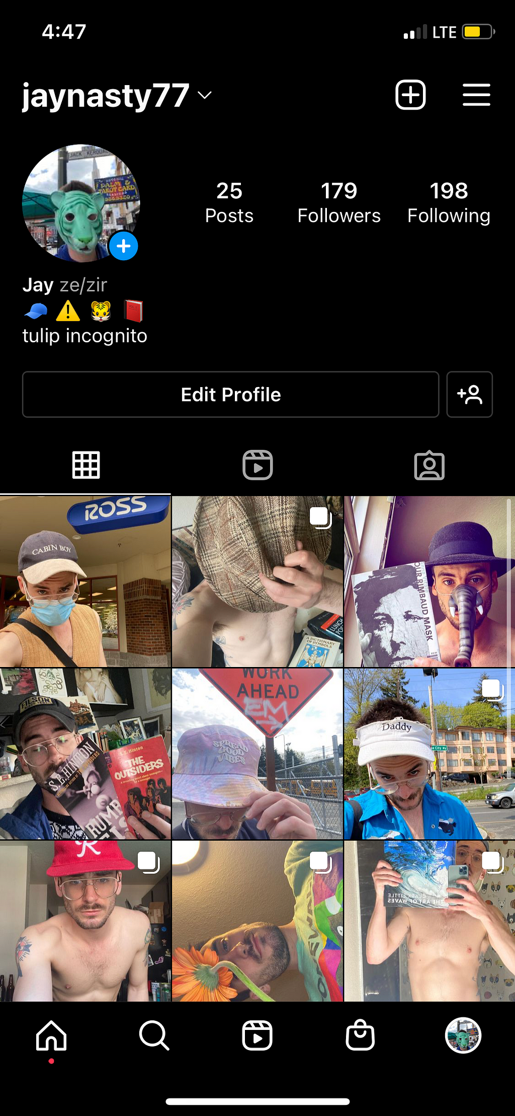 screenshot of Instagram profile