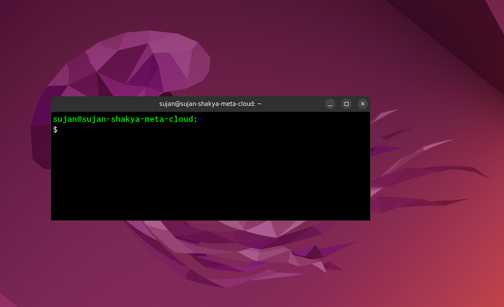 A screenshot of a terminal opened in Ubuntu.