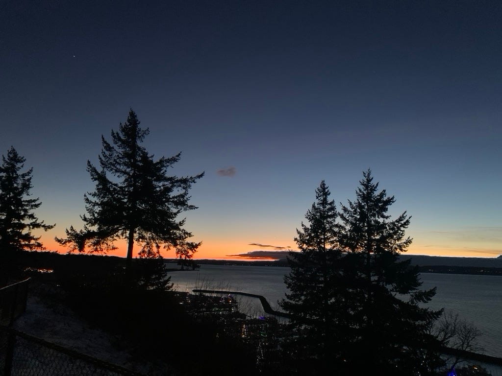 An image of the New year’s eve sunset behind some pine trees, Puget Sound, and the Olympic Mountains.