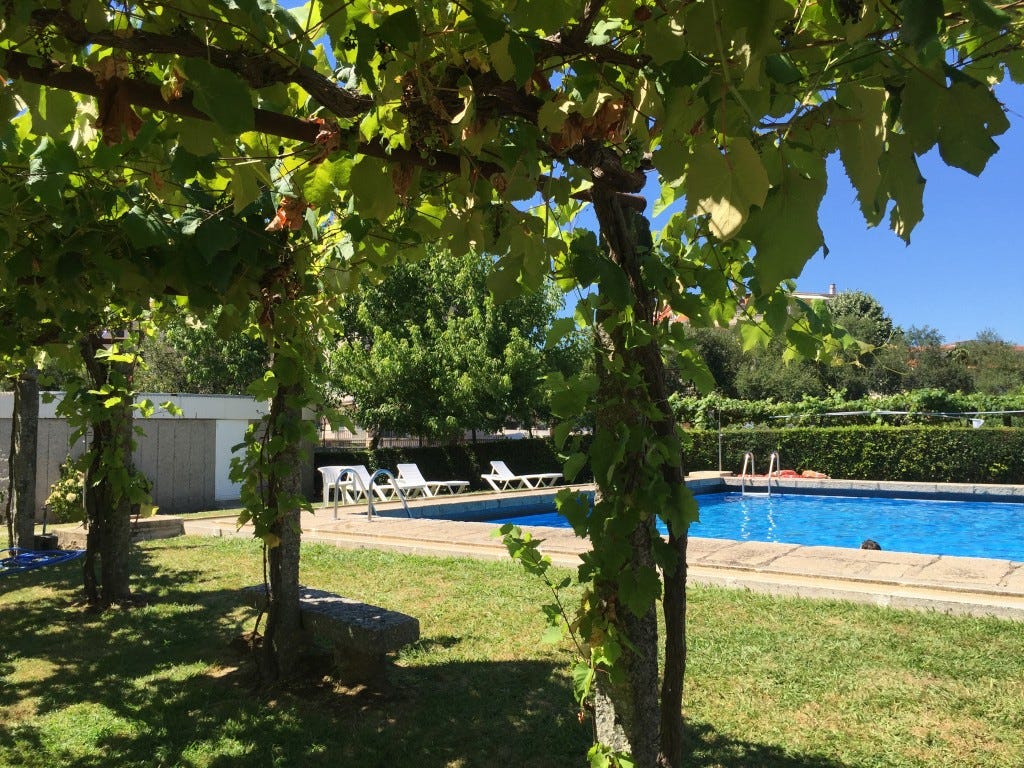 Outdoor pool and expansive lawn with grapes growing on trellis