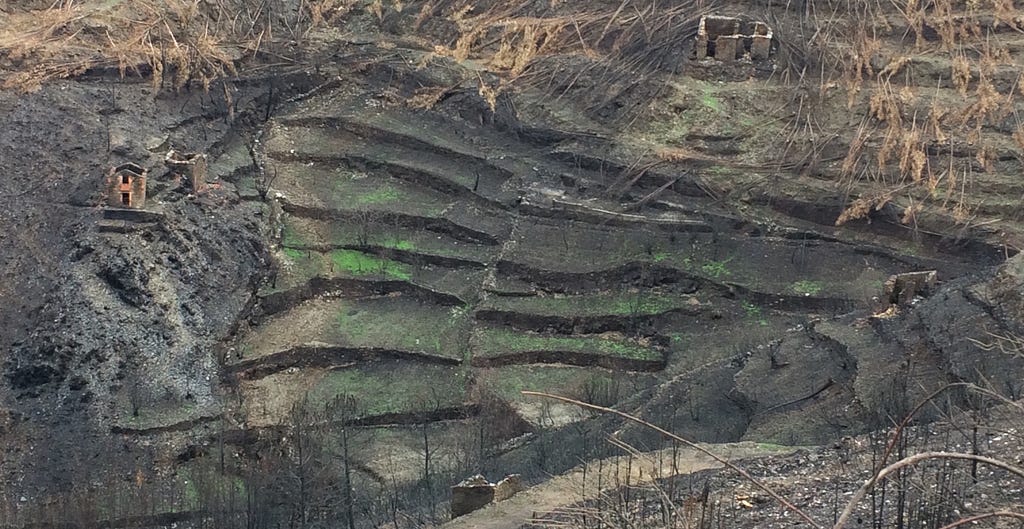 Catastrophic ecosystem degradation featuring wildfire damage and soil erosion. Photo by author.