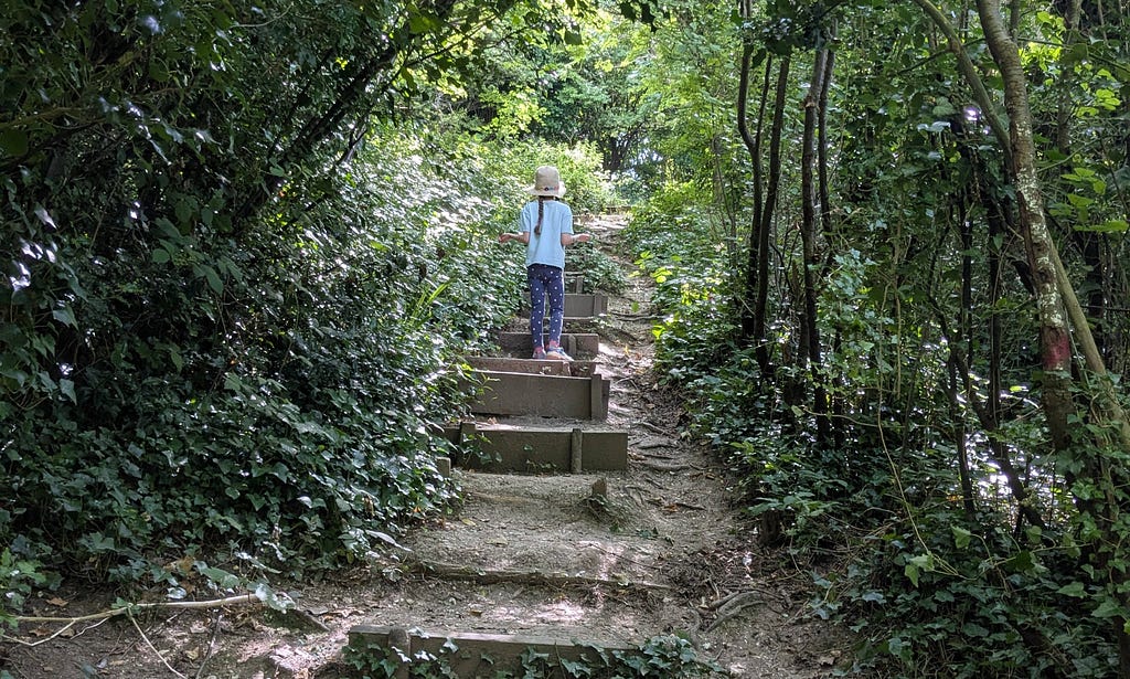 A shady forest with dense foliage. There is a set of wooden fronted stairs set into an earth bank. Half way up there is a small child wearing a straw hat. In the distance the end of the stairs breaks out into sunshine. The ground and steps are uneven.